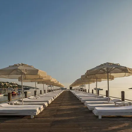 Voyage Hotel 5*