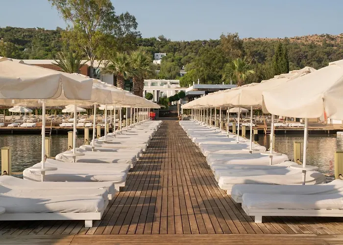 Voyage 5* غولتوركبوكو