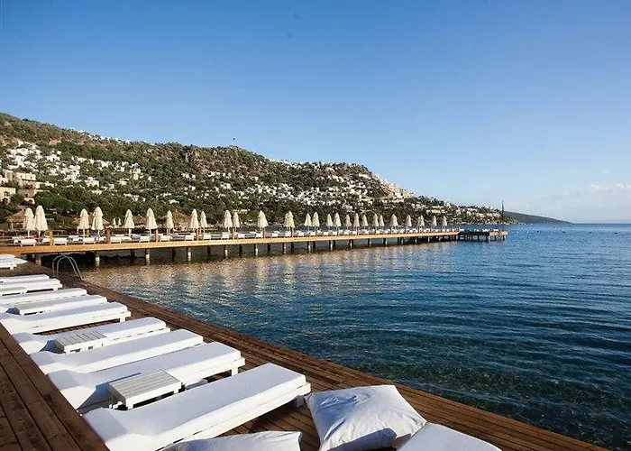 Voyage غولتوركبوكو