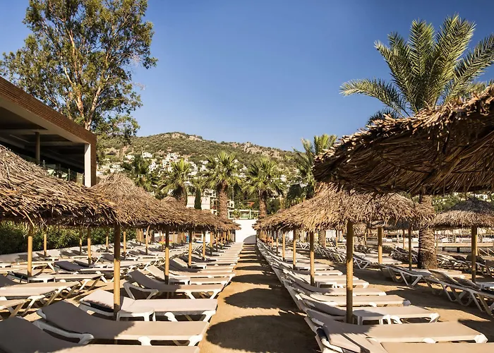 Voyage فندق غولتوركبوكو