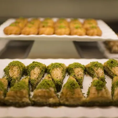 Voyage 5* Golturkbuku