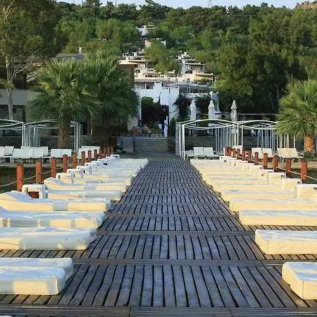 Voyage 5*