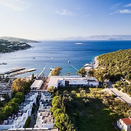 Voyage 5* 古托克布库