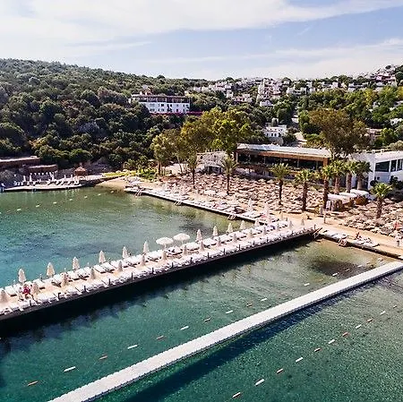 Voyage 5* 古托克布库