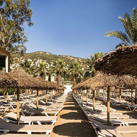 Voyage Hotel Golturkbuku