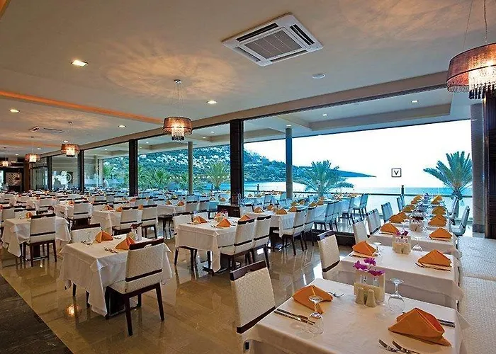 Voyage ゴルトゥルブク