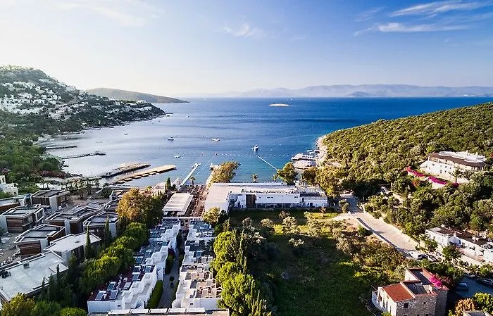 Voyage 5* ゴルトゥルブク