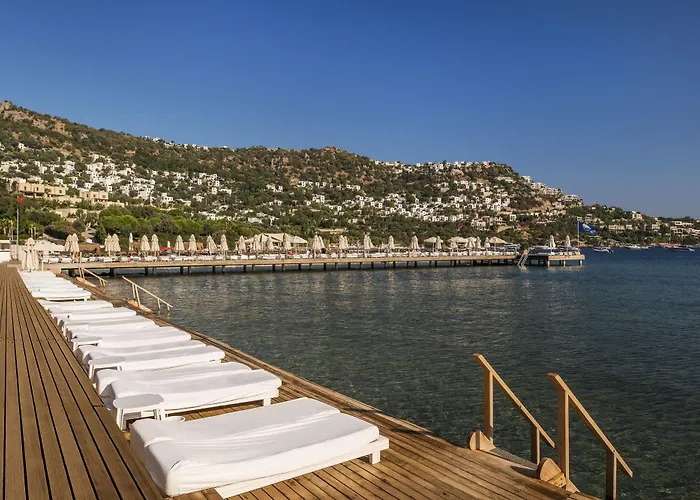 Ξενοδοχείο Voyage