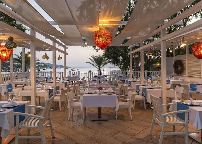 Ξενοδοχείο Voyage